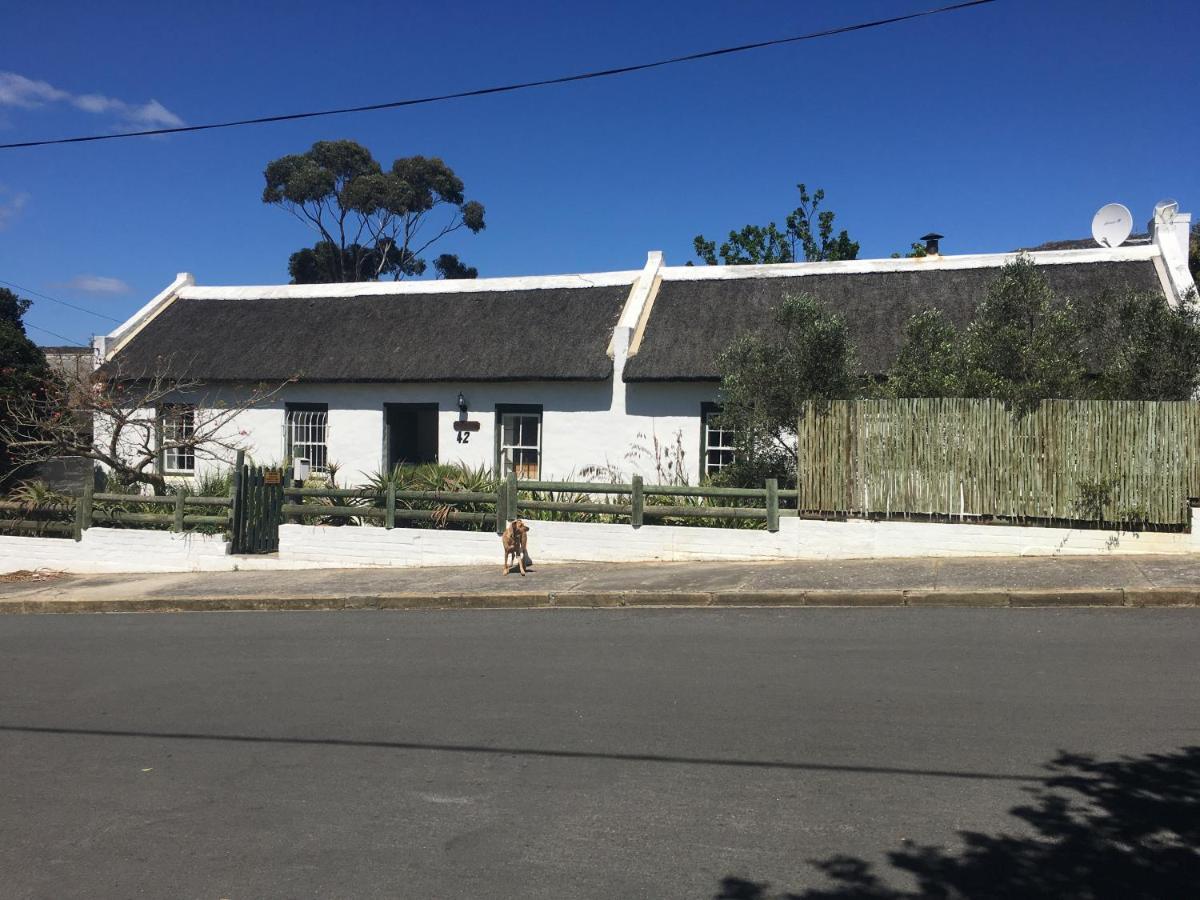 Carneddie Cottage - Main Bredasdorp Buitenkant foto