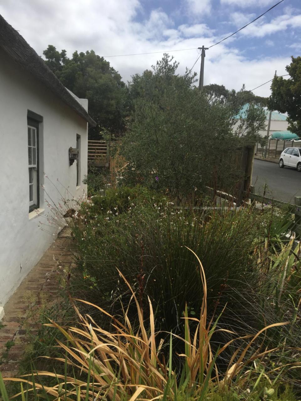Carneddie Cottage - Main Bredasdorp Buitenkant foto